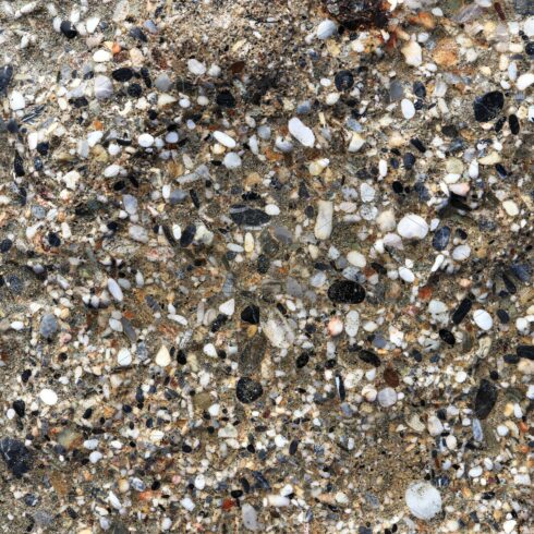 Weathered sea concrete surface cover image.