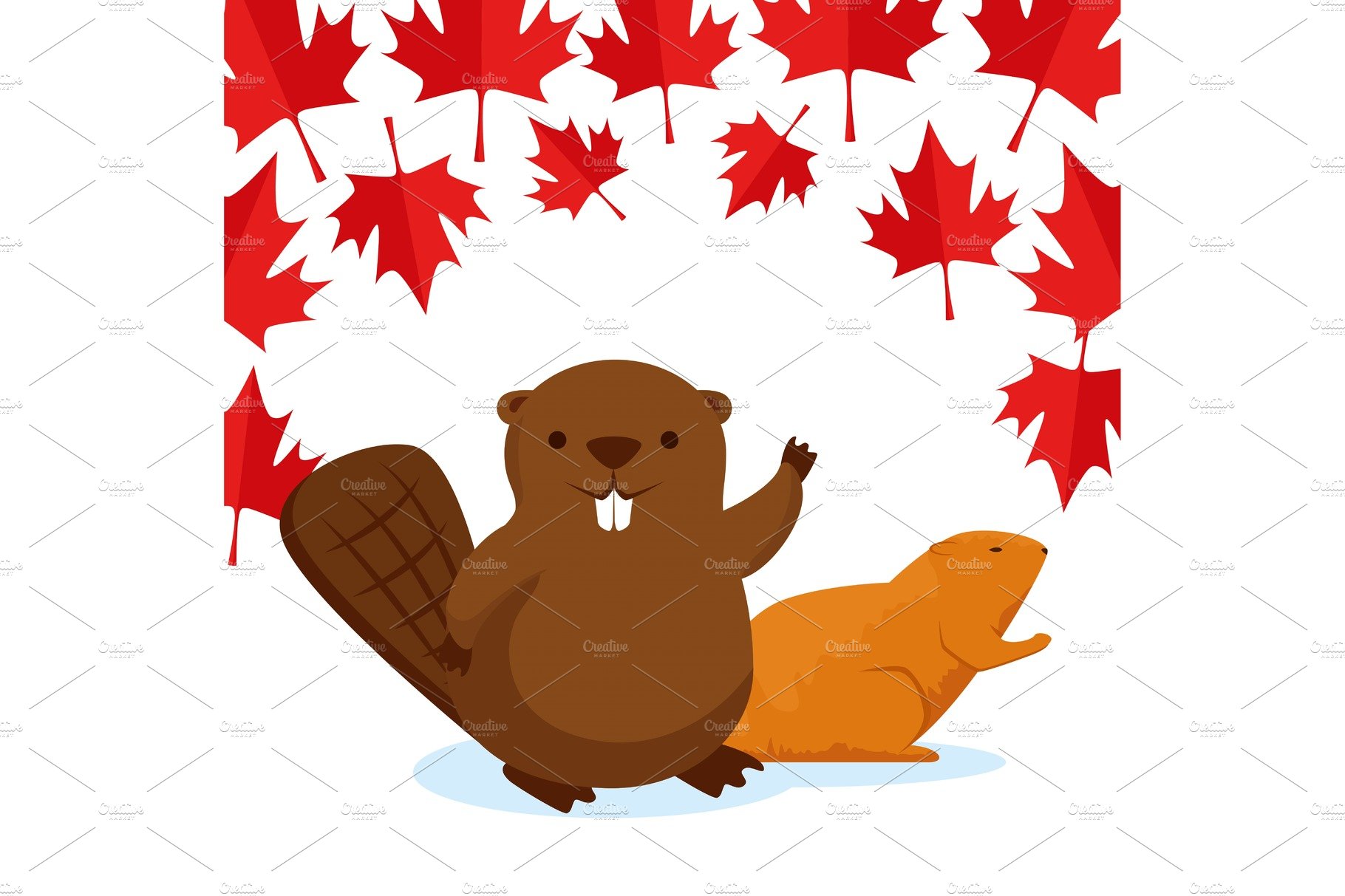 beaver with canada leaves to happy cover image.