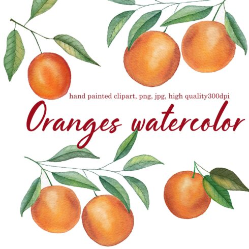 Watercolor oranges clip art cover image.