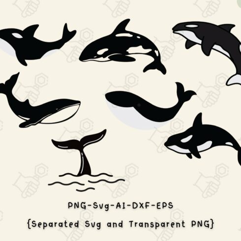 Orca svg, Orca whales svg, Shark svg cover image.