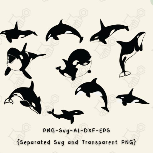 Orca svg, Killer whales shark svg cover image.