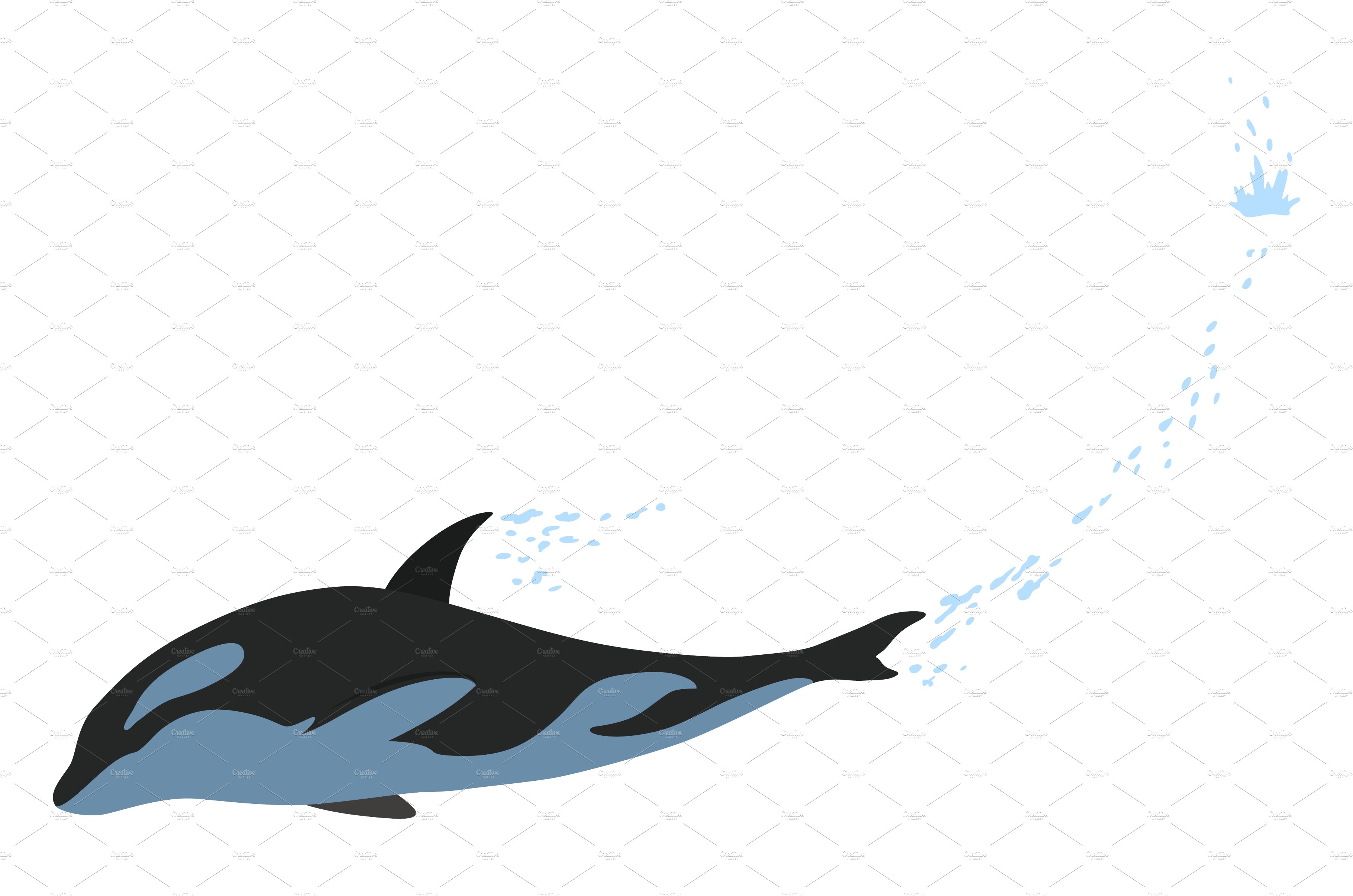 Orca animation in water cover image.