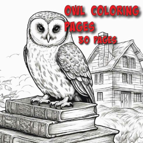 Owl Coloring Pages - 30 Pages - High Quality Owls for Coloring FUN cover image.