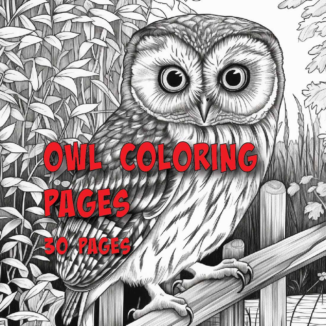 Owl Coloring Pages - 30 Pages - High Quality Owls for Coloring FUN preview image.