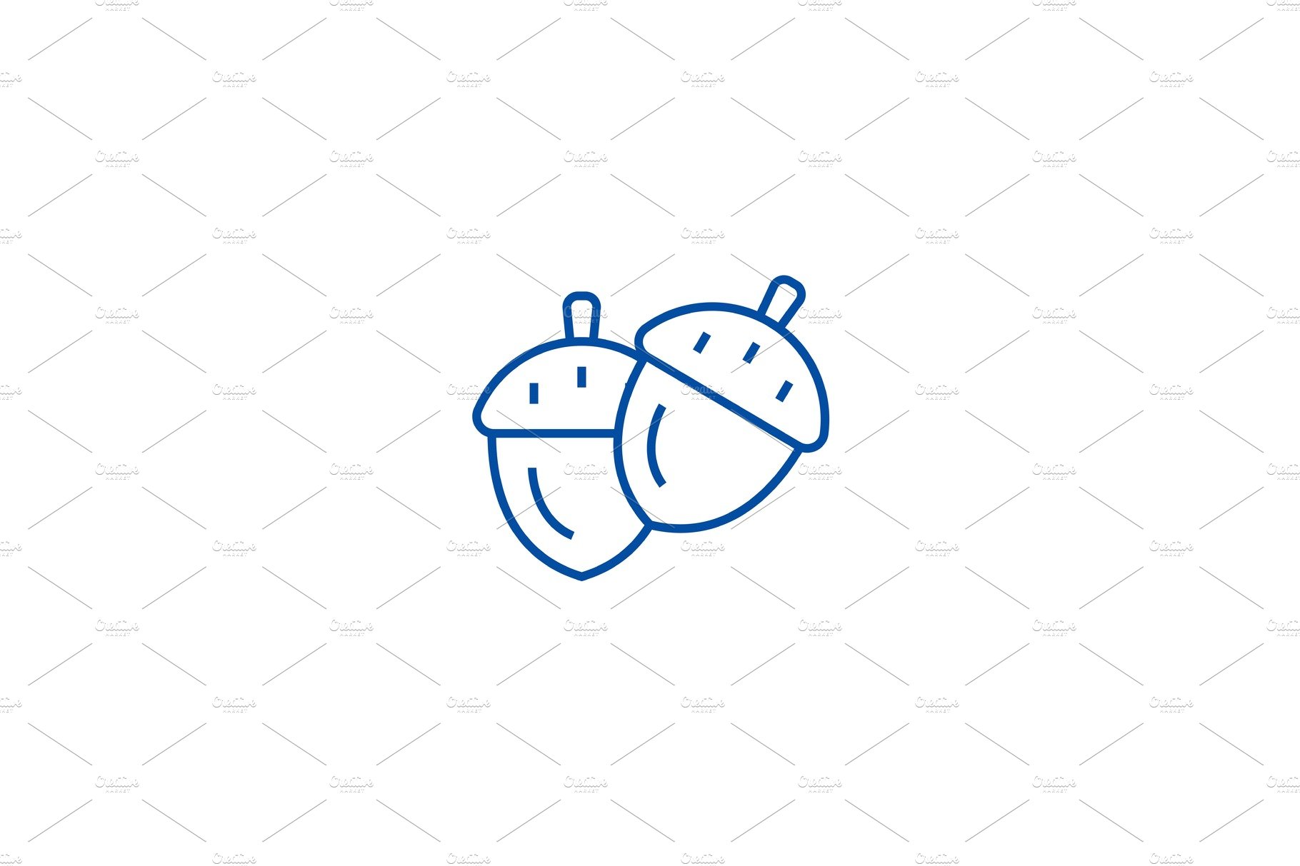 Acorn line icon concept. Acorn flat cover image.