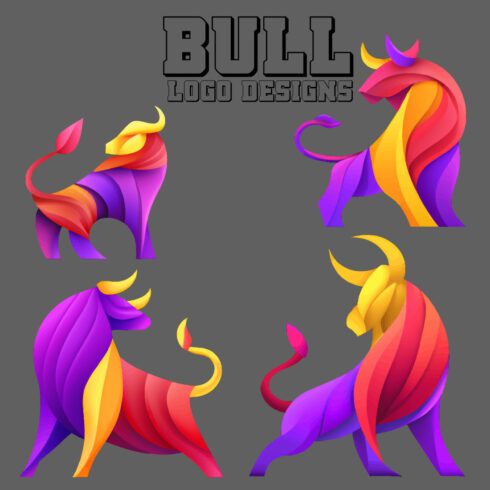 4 bull multicolor logo design cover image.