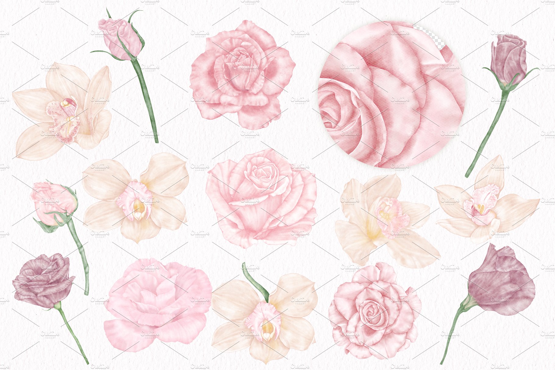 Wedding Flowers Bride Orchid Clipart preview image.