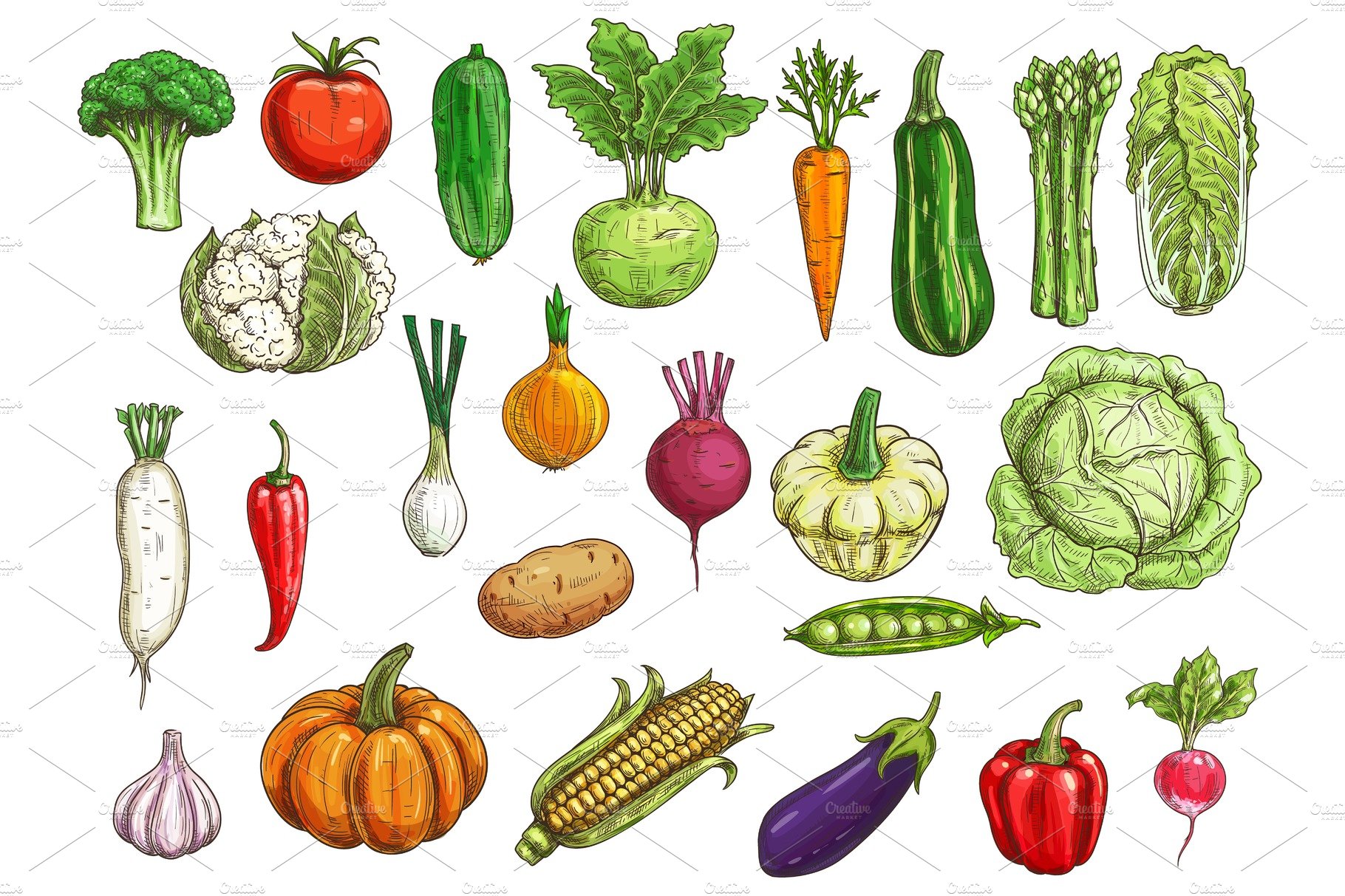 Vegetable drawing seamless vector pattern. Farm market products. Stock  Vector | Adobe Stock