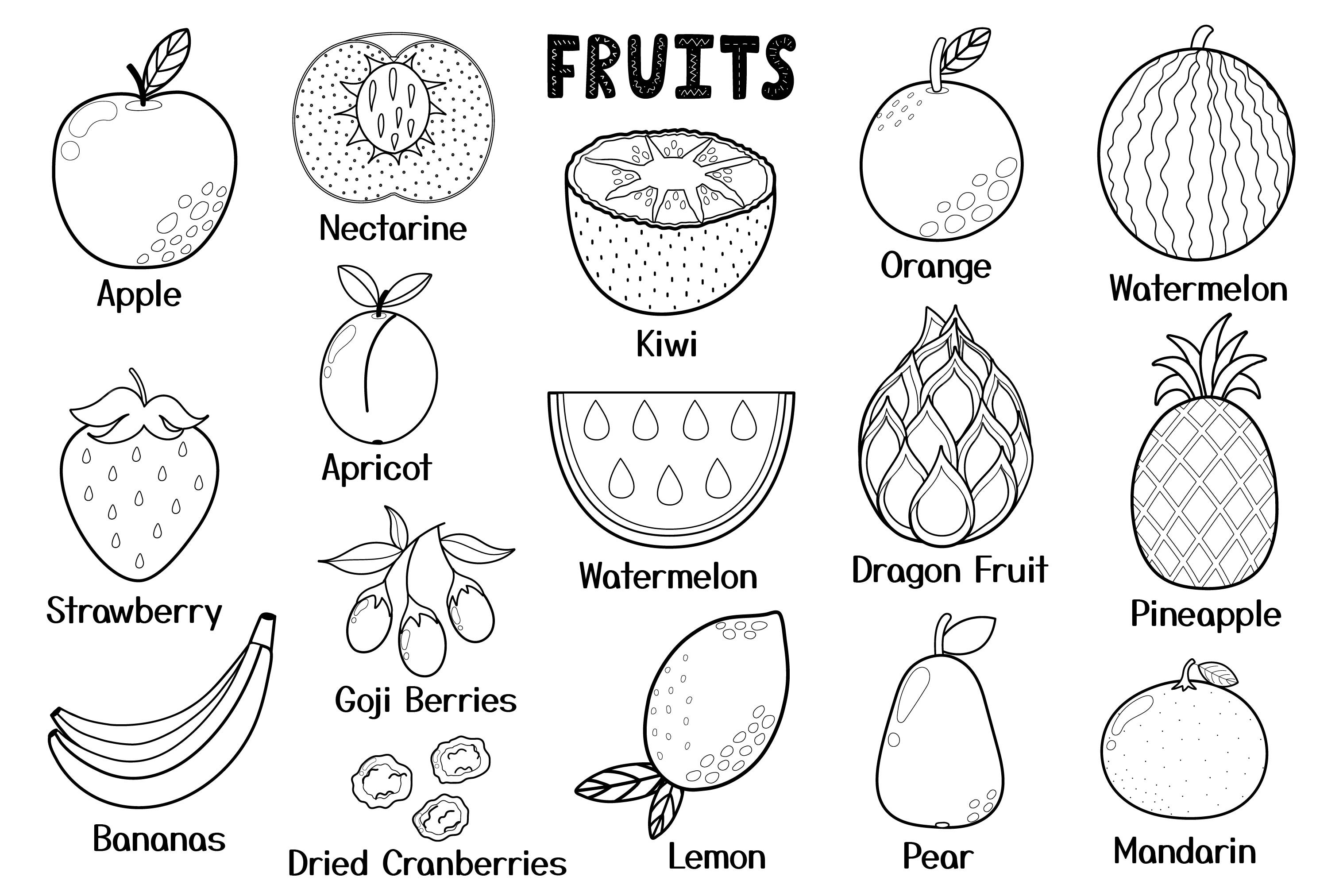 set of hand drawn fruits isolated on white background. Good for prints,  stickers, clipart, signs, product decor, packaging, logos, etc. EPS 10  7644875 Vector Art at Vecteezy
