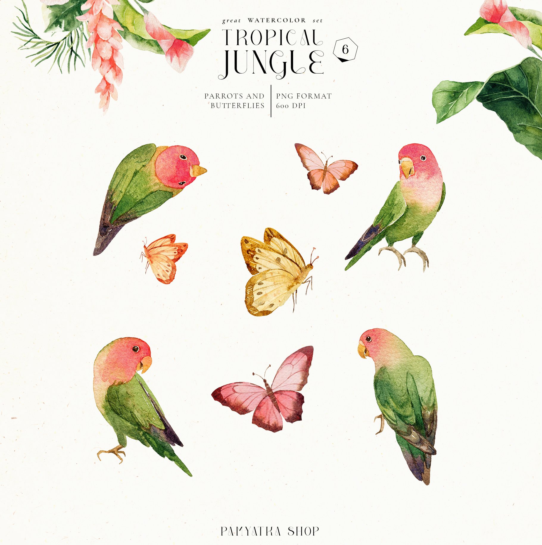 parrots and butterflies 580