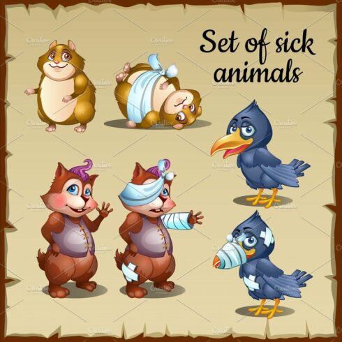 Sick and healthy animals, raven, beaver, hamster cover image.