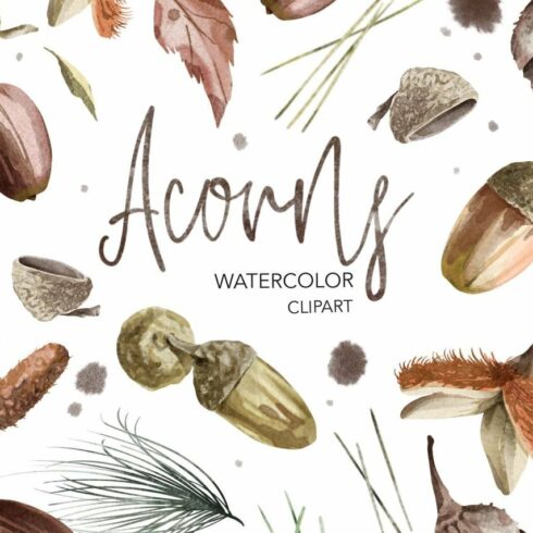 Acorns Watercolor Clipart. Forest. cover image.