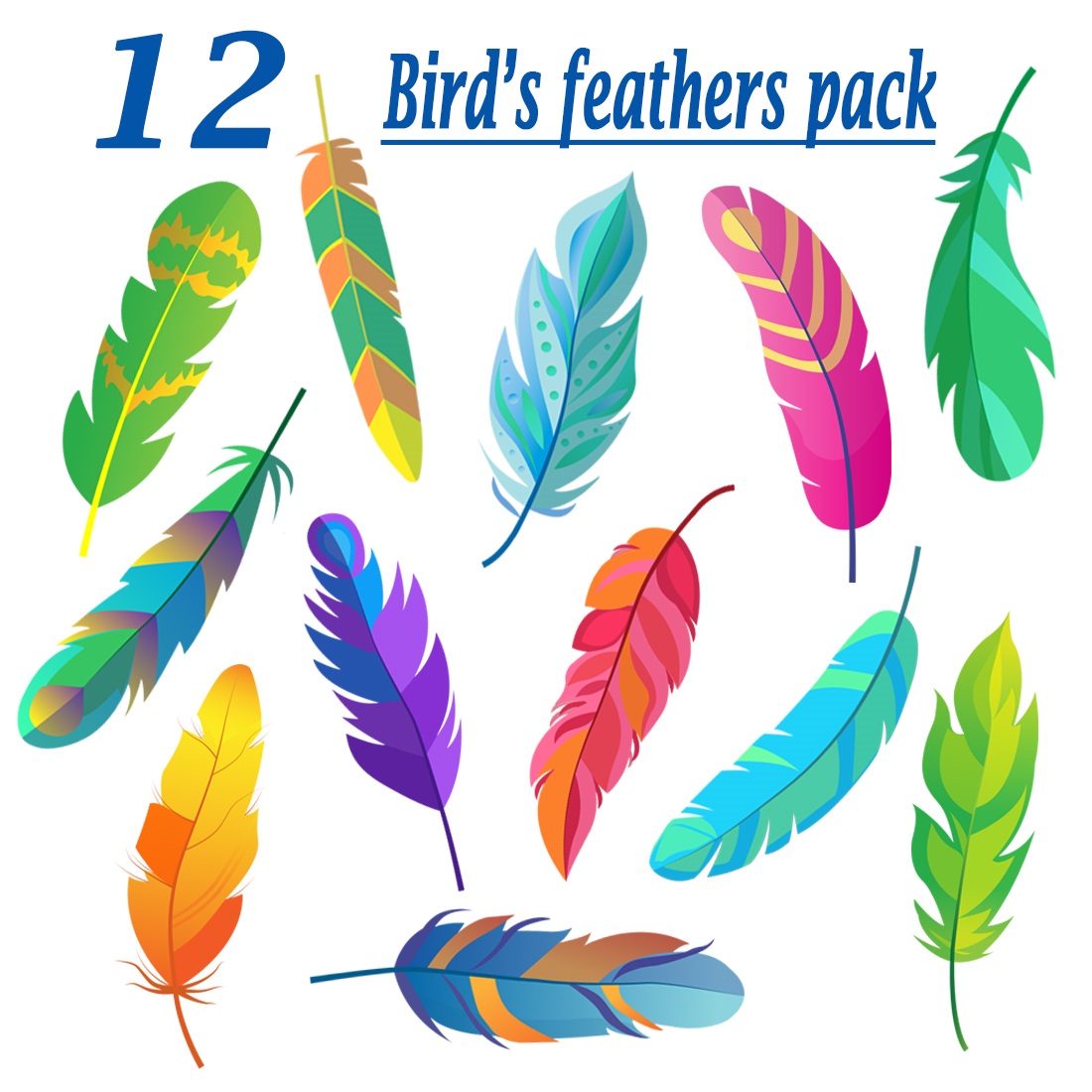12 Colorful Bird's Feathers Flat Item Set cover image.