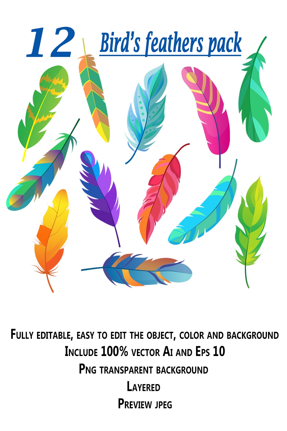 12 Colorful Bird's Feathers Flat Item Set pinterest preview image.