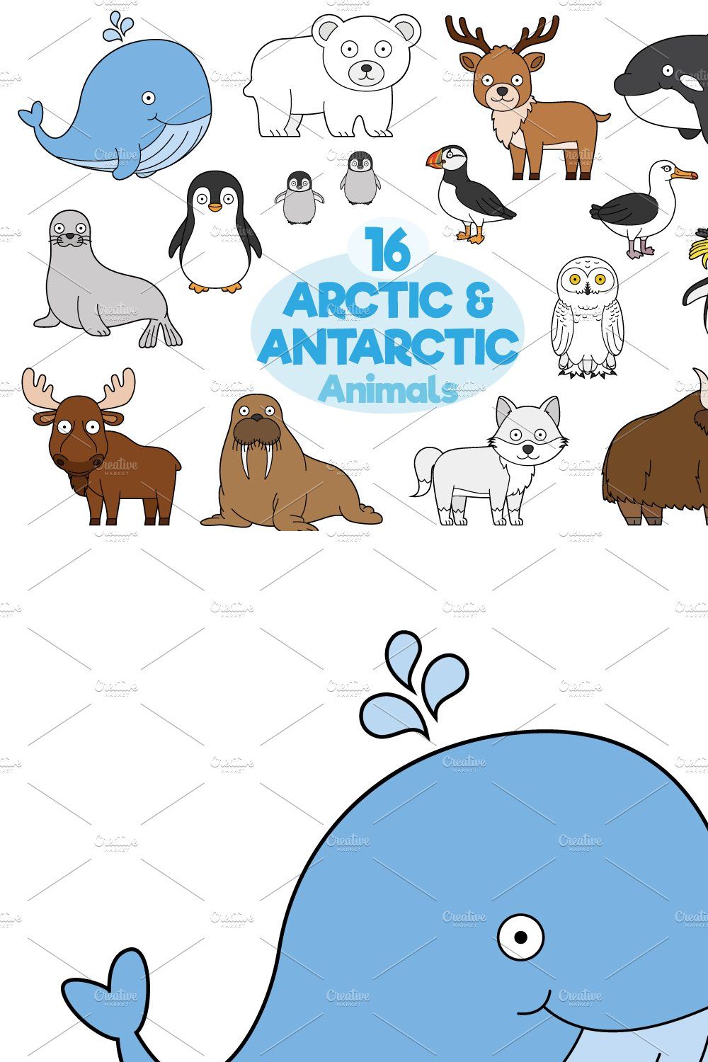 16x Arctic and Antarctic Animals pinterest preview image.