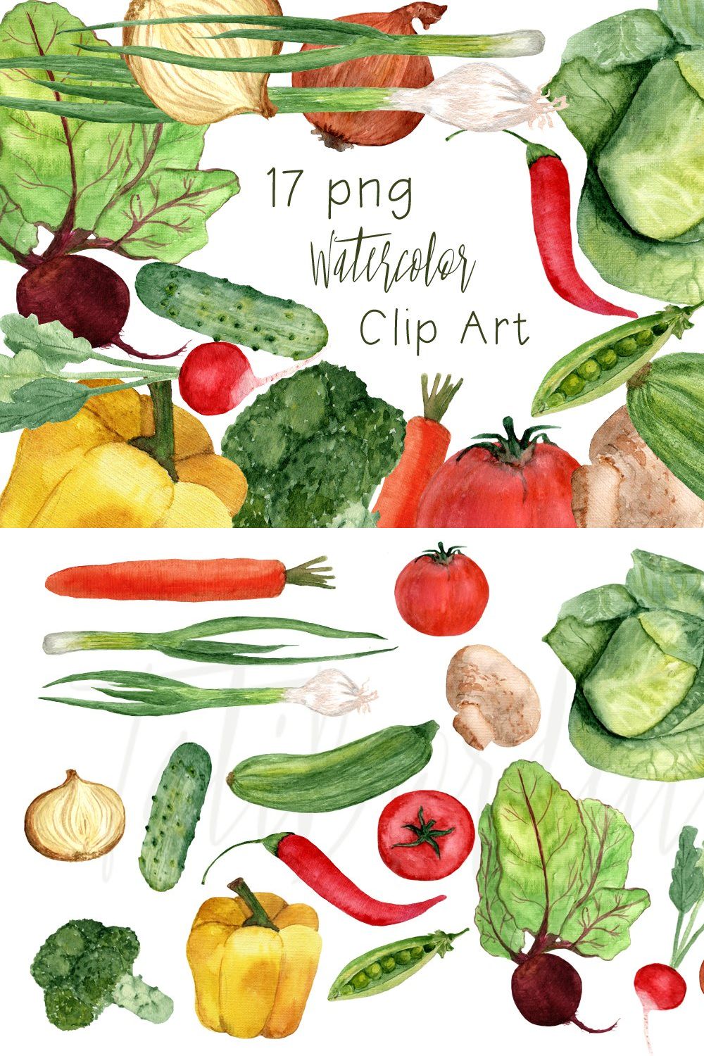 17 Watercolor Vegetables Clip Art pinterest preview image.