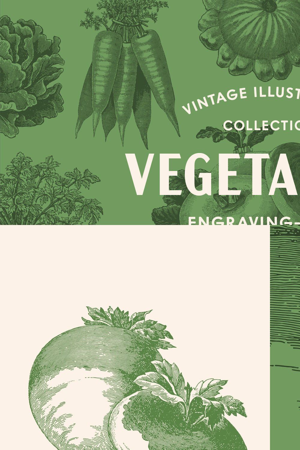 220 Vintage Vegetable Illustrations pinterest preview image.