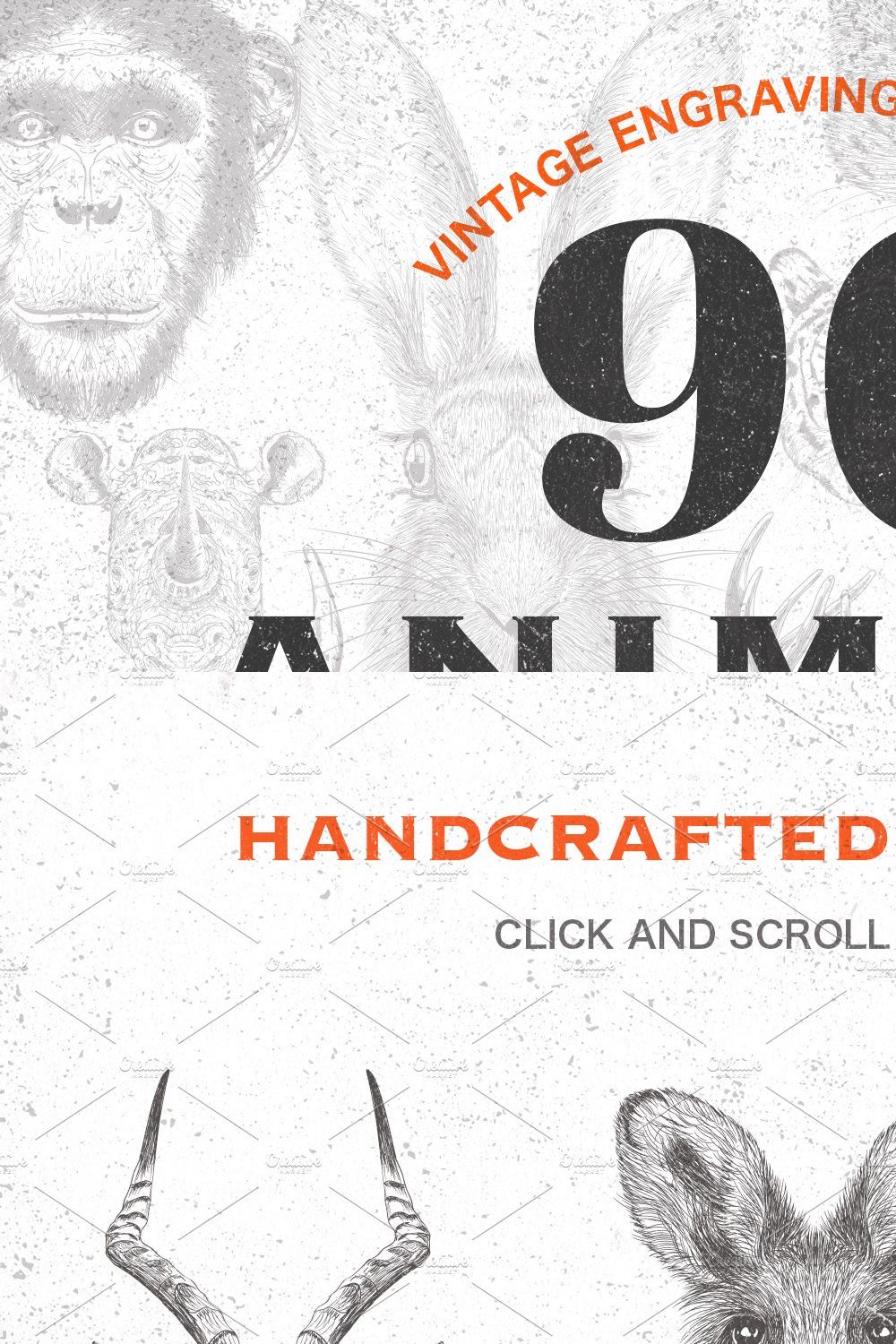 90 Animals Vintage Illustrations pinterest preview image.