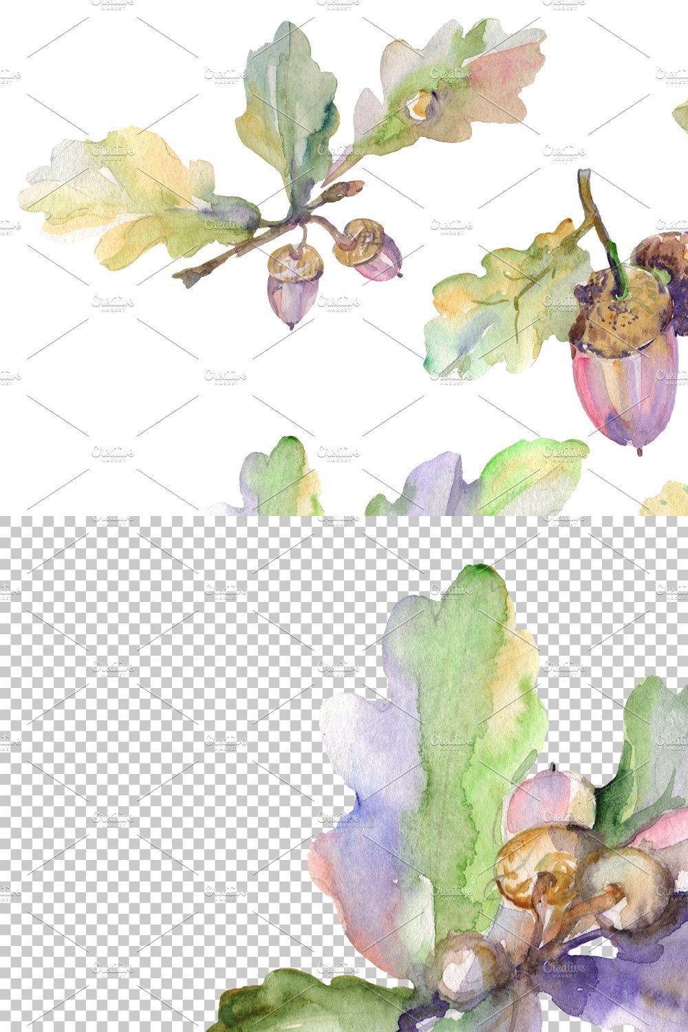 Acorn Watercolor png pinterest preview image.