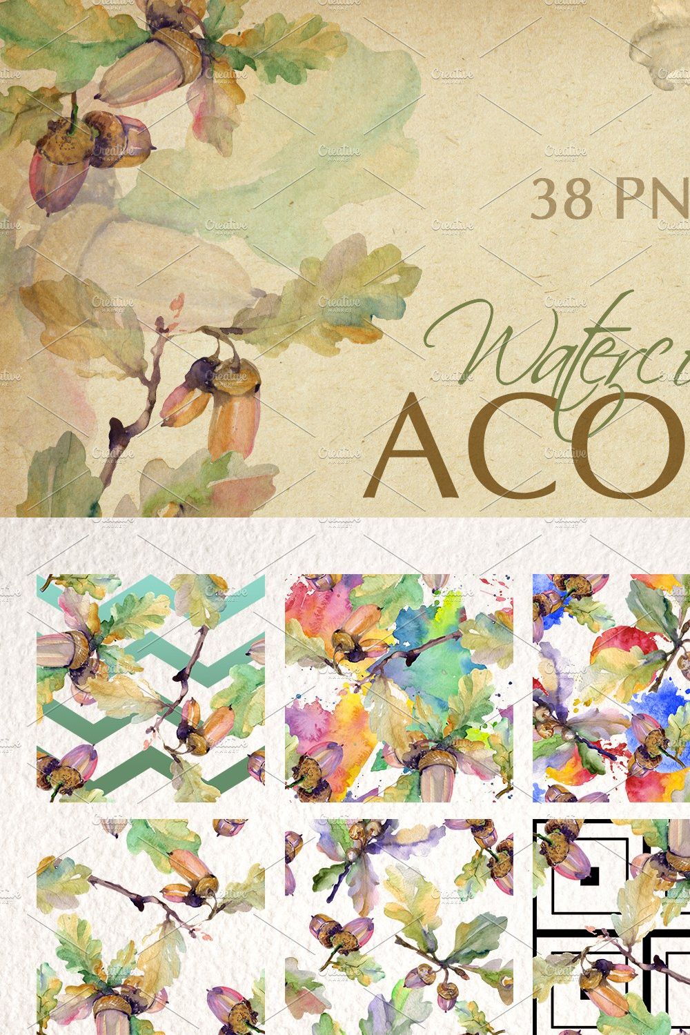 Acorn Watercolor png pinterest preview image.