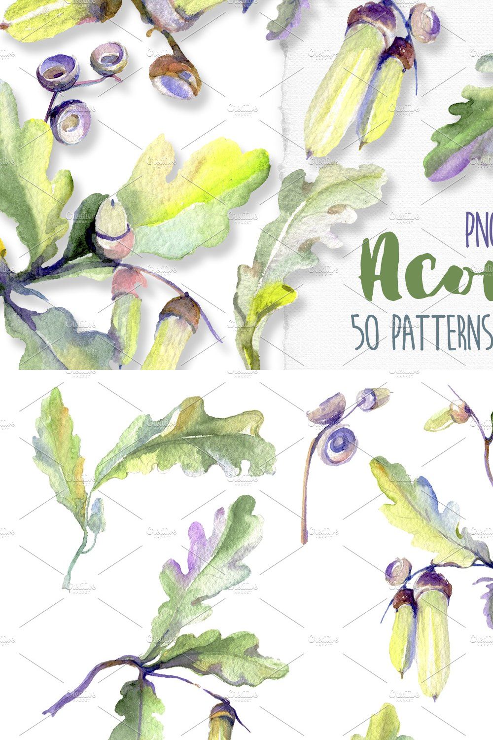 Acorn Watercolor png pinterest preview image.