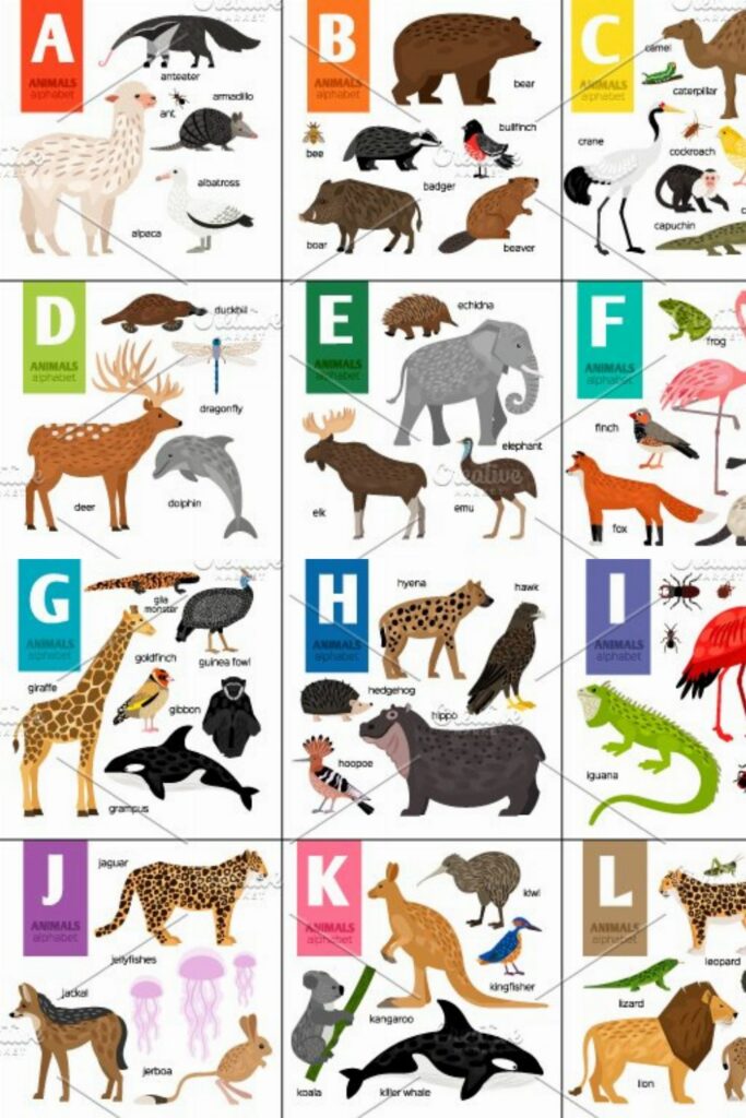 Alphabet with Animals – MasterBundles