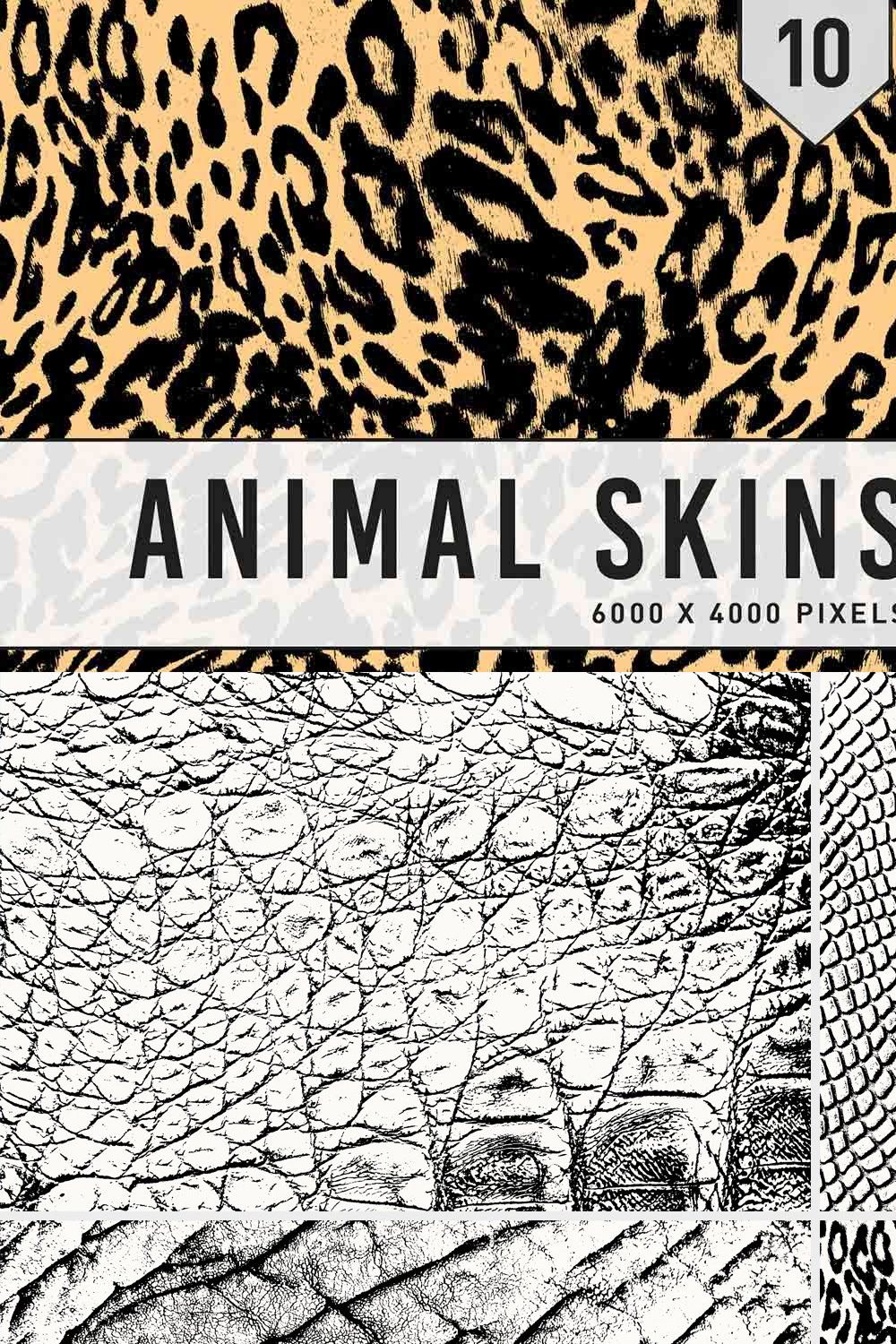 Animal Skins Textures pinterest preview image.