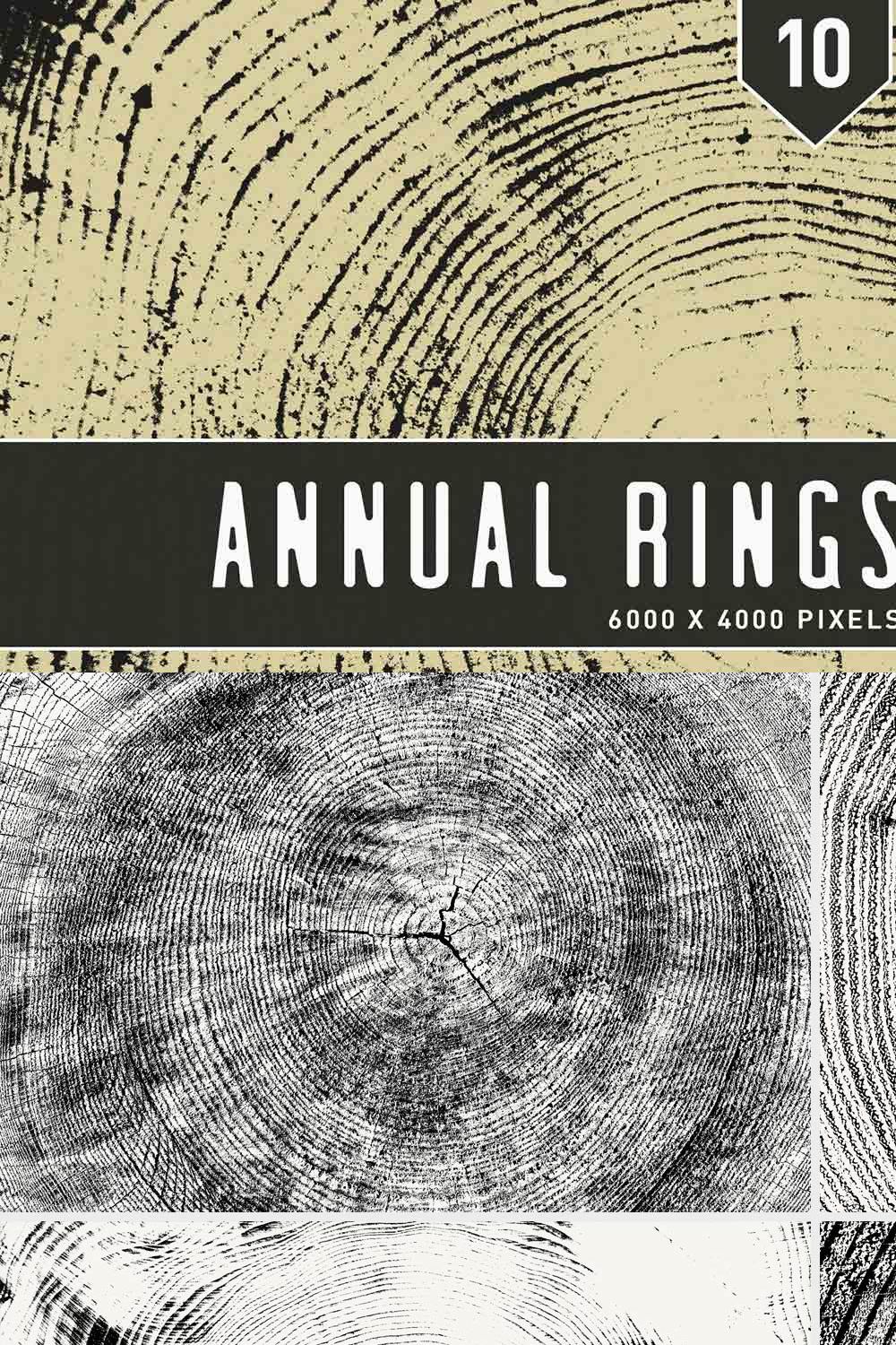 Annual Rings Textures pinterest preview image.