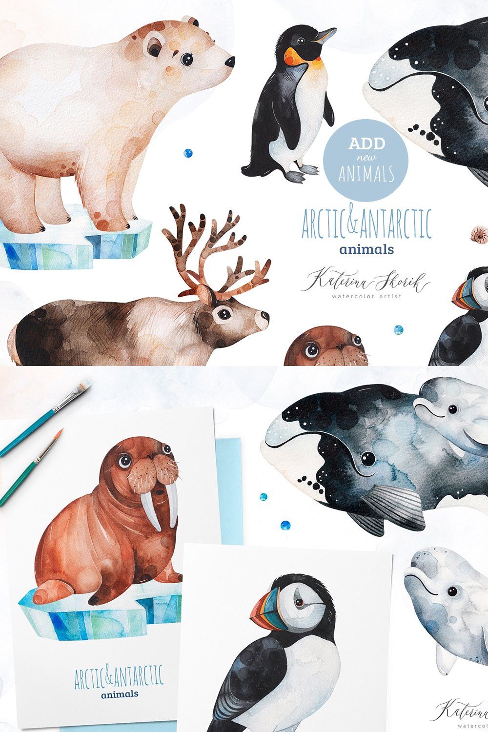 Arctic&Antarctic animals pinterest preview image.
