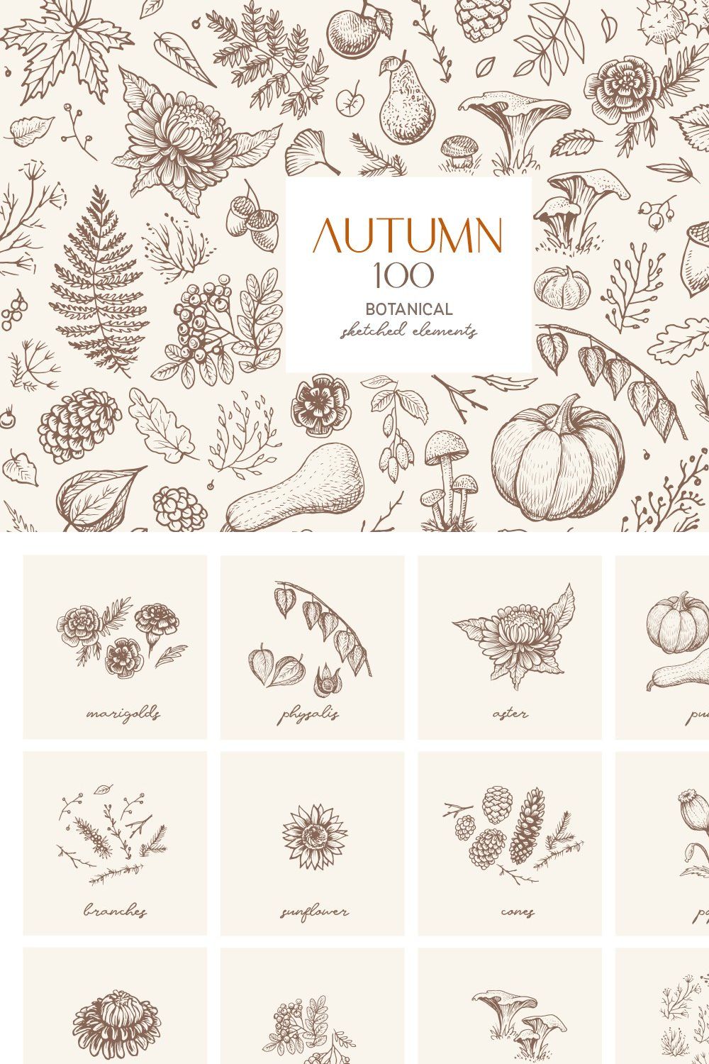 Autumn botanical sketches pinterest preview image.