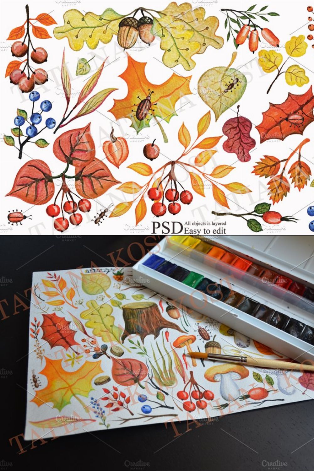 Autumn leaves, berries,branches set pinterest preview image.