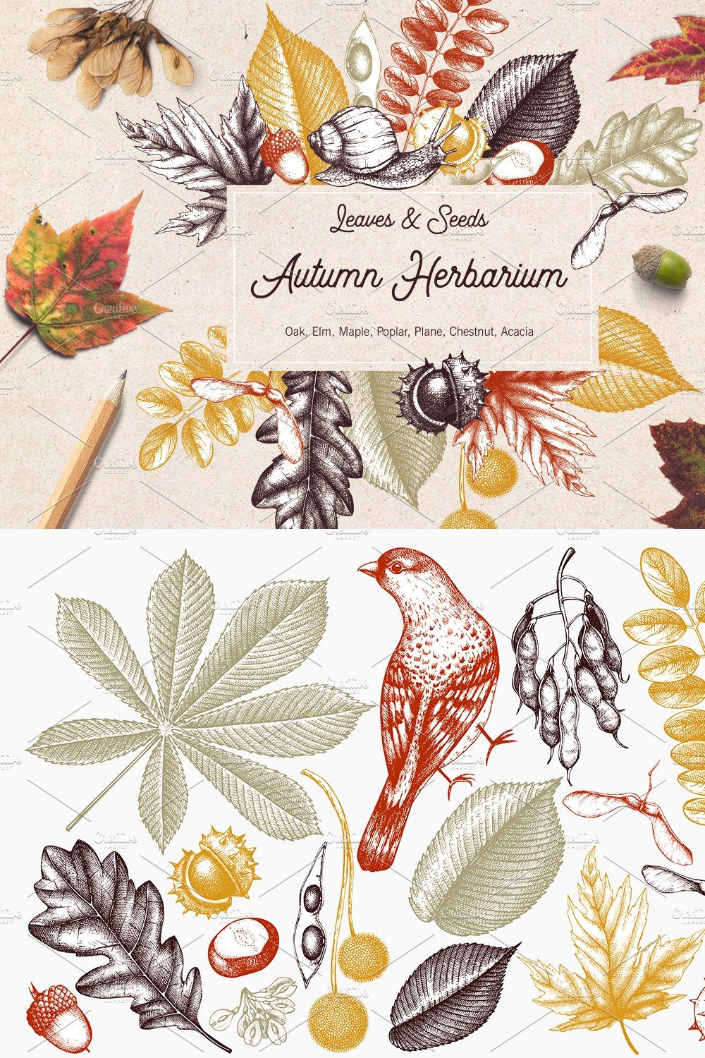 Autumn Leaves Sketches Set pinterest preview image.