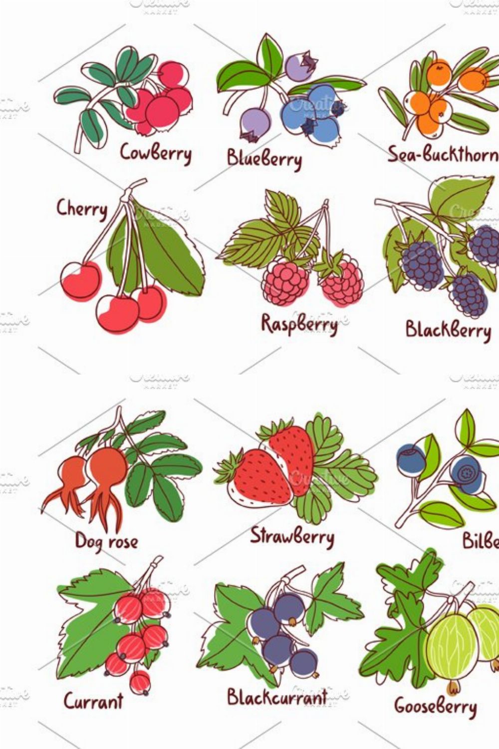 Berries pinterest preview image.
