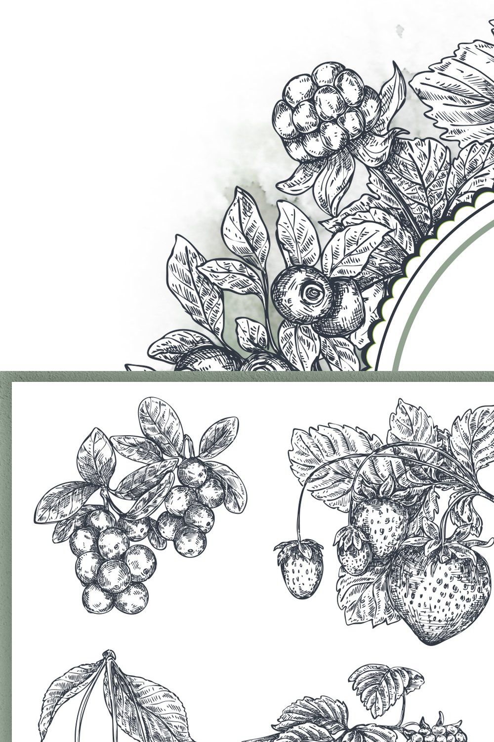Berries vector collection pinterest preview image.