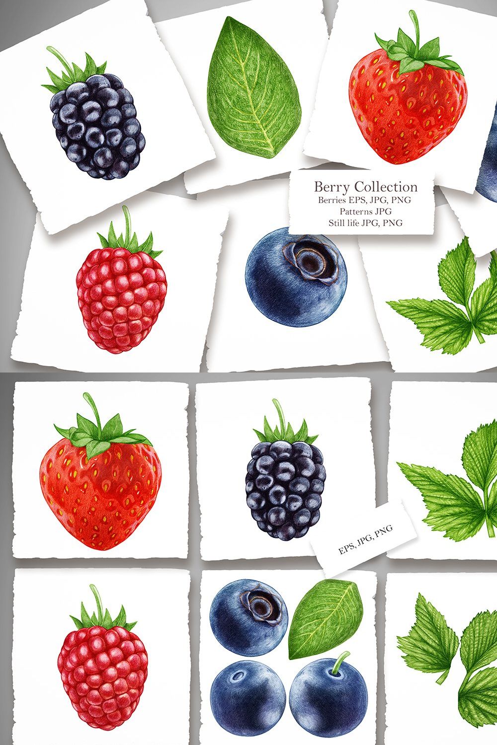 Berry Collection pinterest preview image.