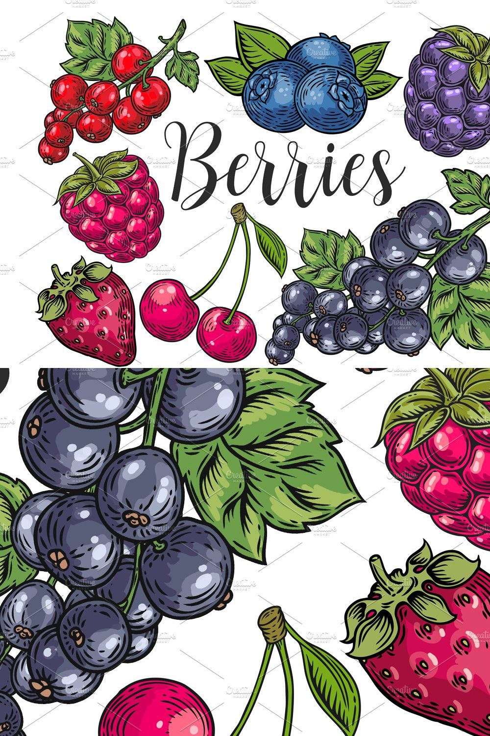 Berry hand drawn set, patterns pinterest preview image.