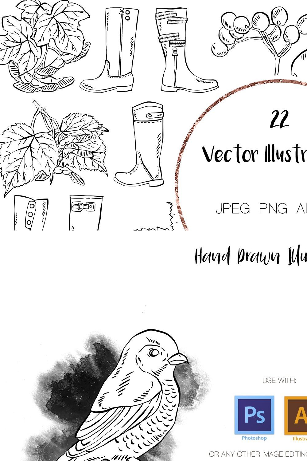 Birds, Leaves & Boots Illustrations pinterest preview image.