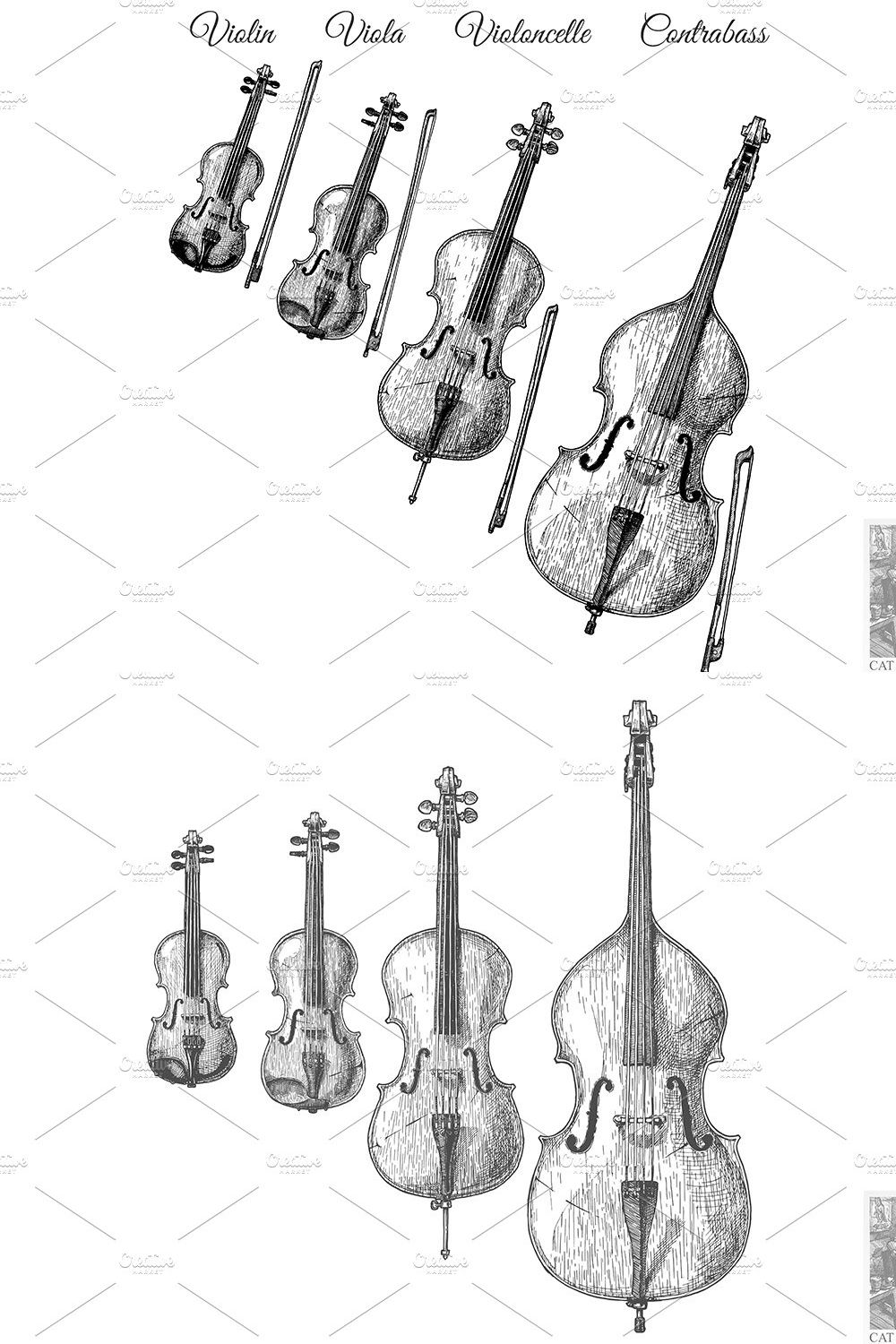 Bowed string instruments pinterest preview image.