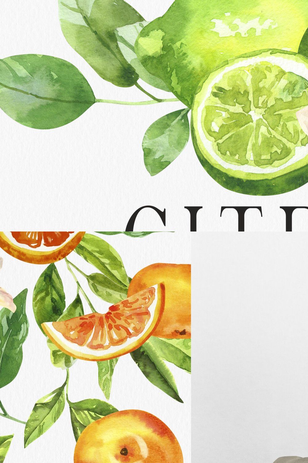 Citrusy Fruits watercolor collection pinterest preview image.
