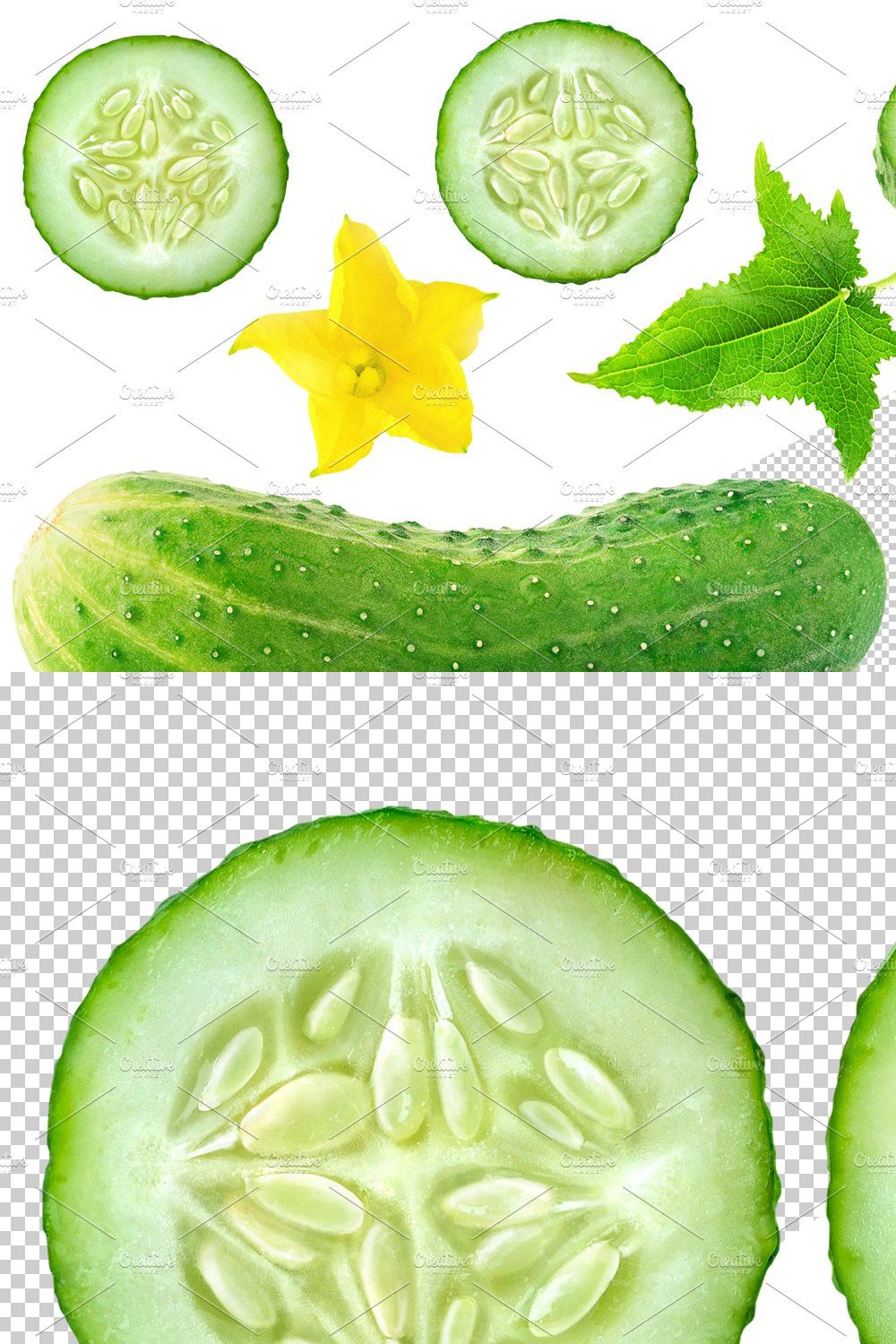 Cucumber pieces, leaves and flower pinterest preview image.
