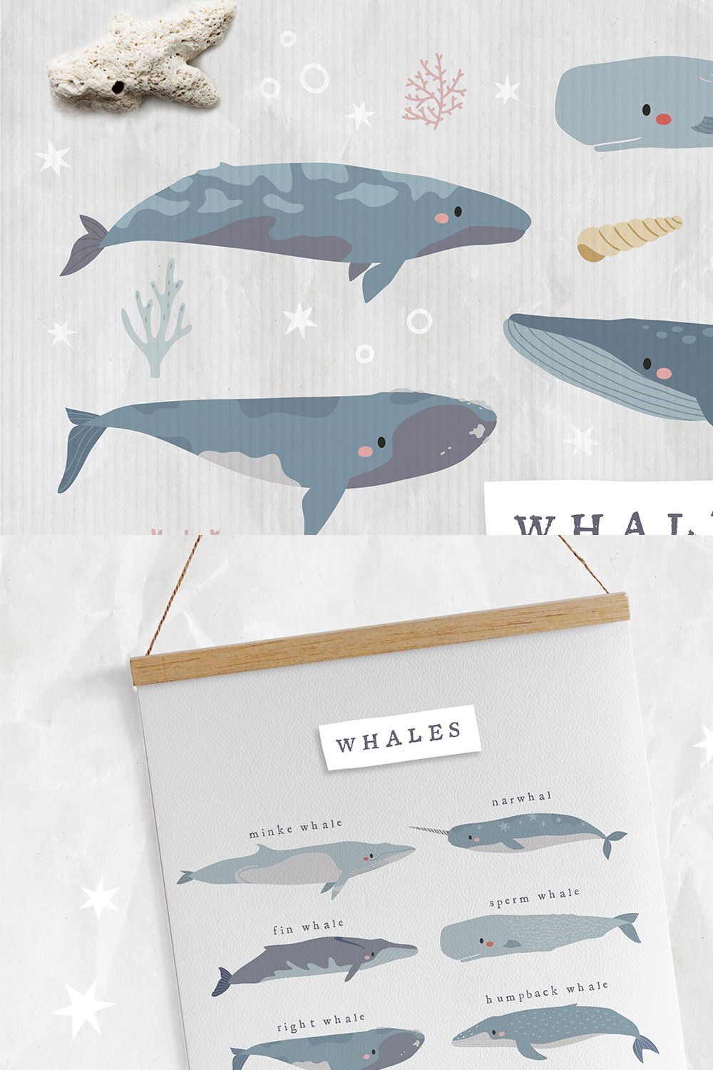 Cute Whales collection pinterest preview image.