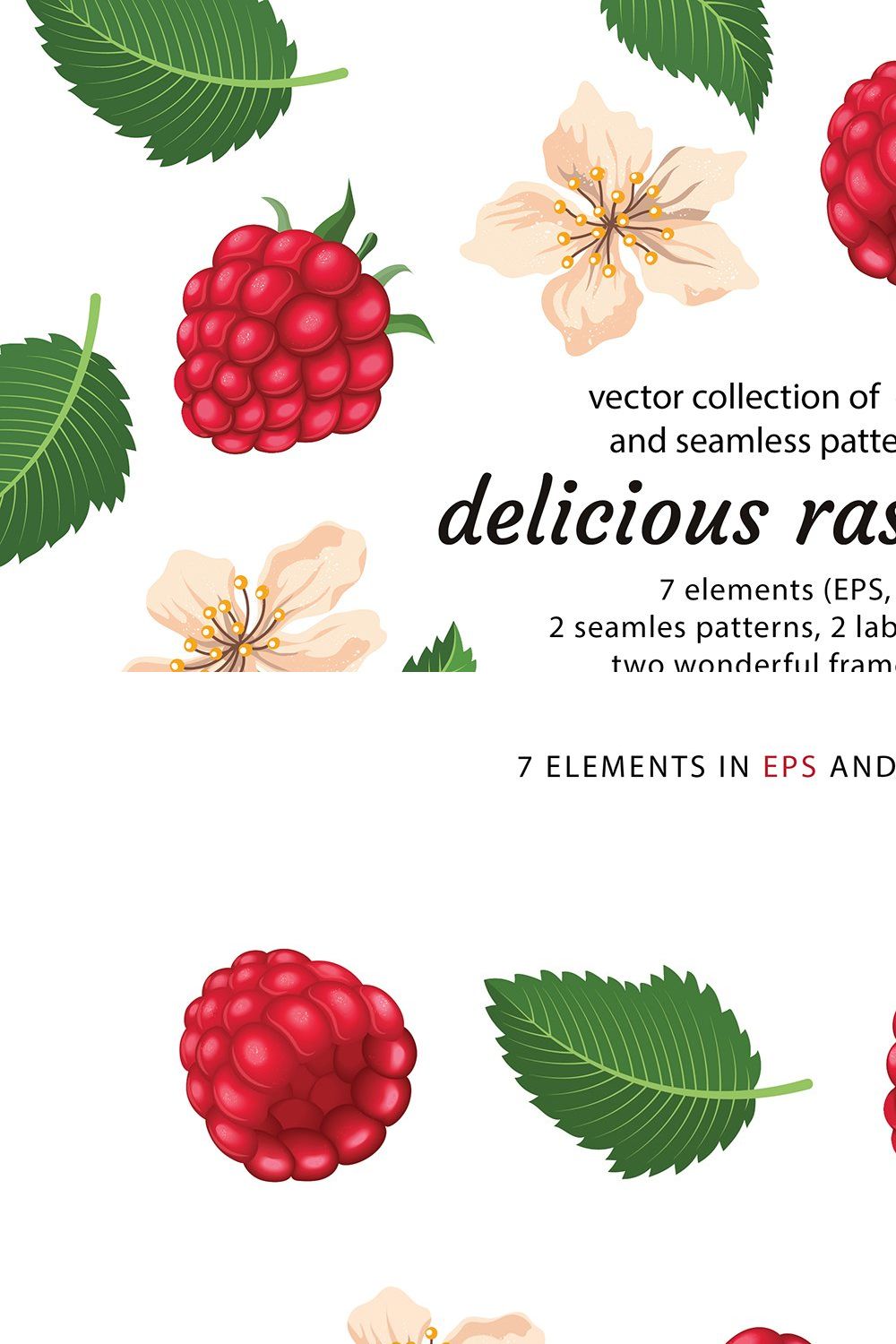 Delicious raspberries vector set pinterest preview image.