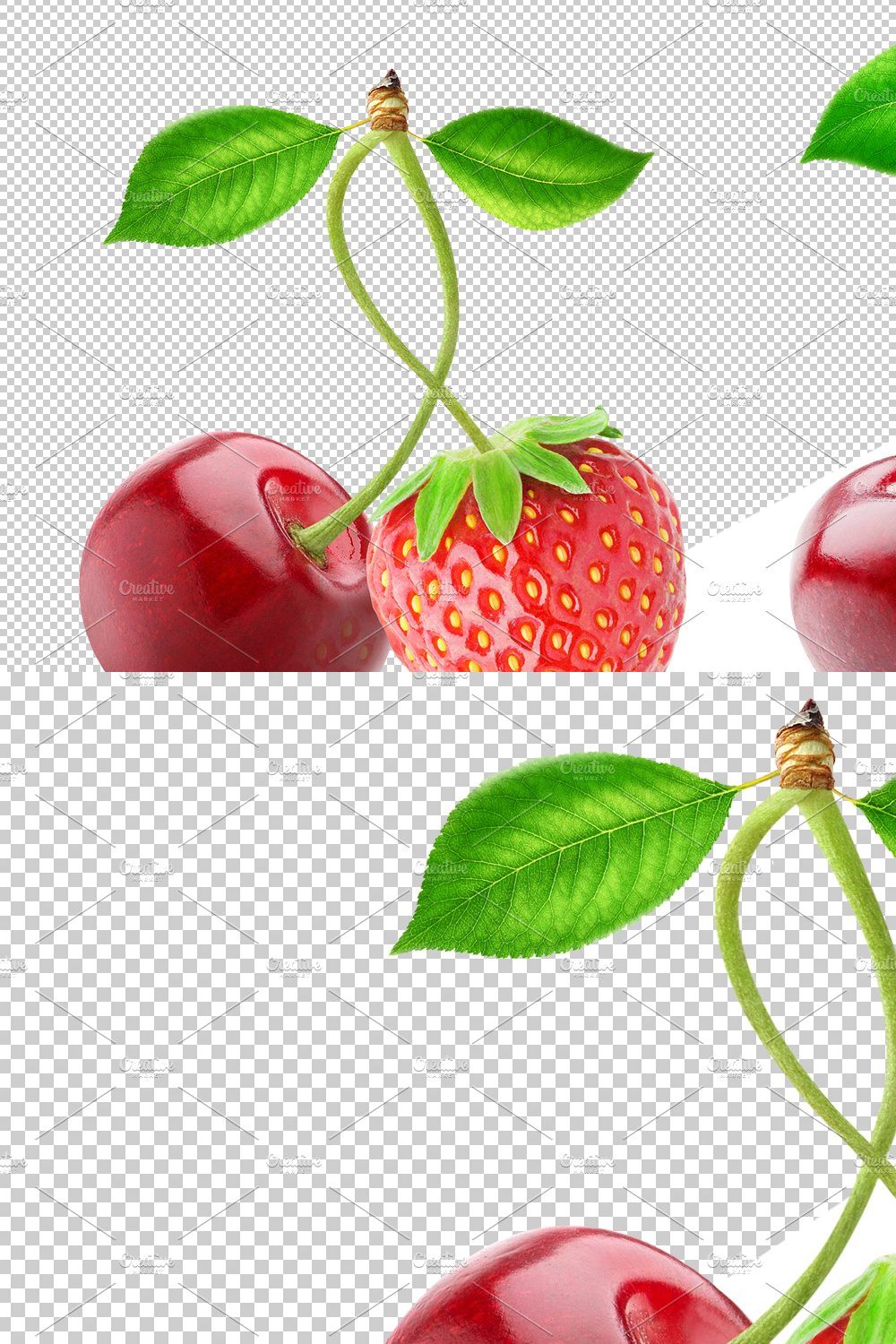 Different berries on one stem pinterest preview image.