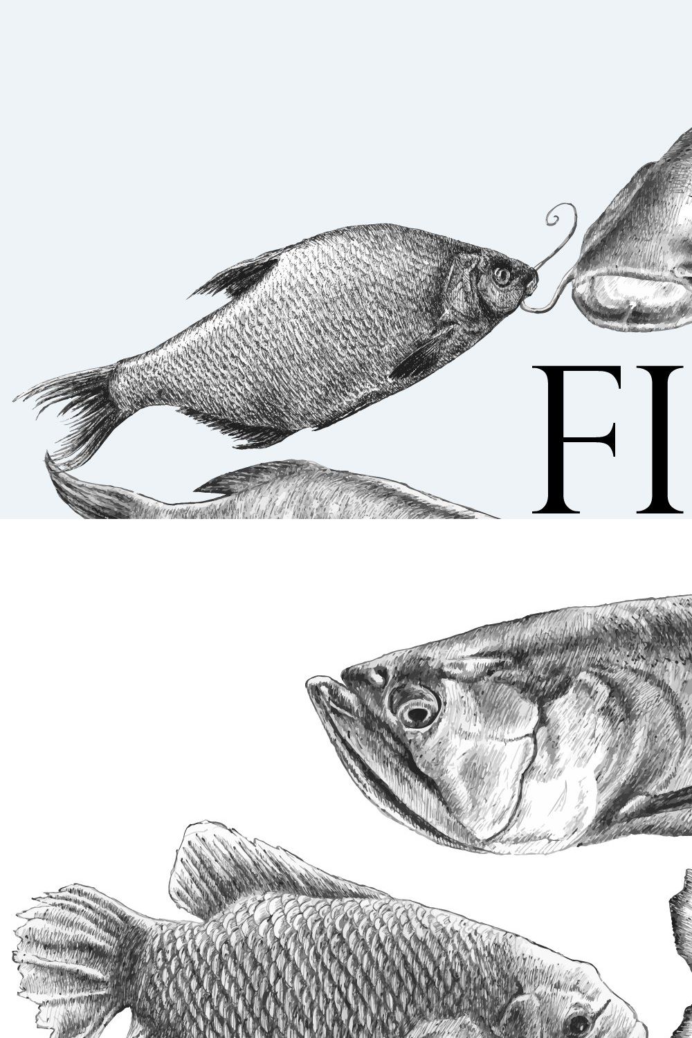 Fishes. Hand drawn. pinterest preview image.