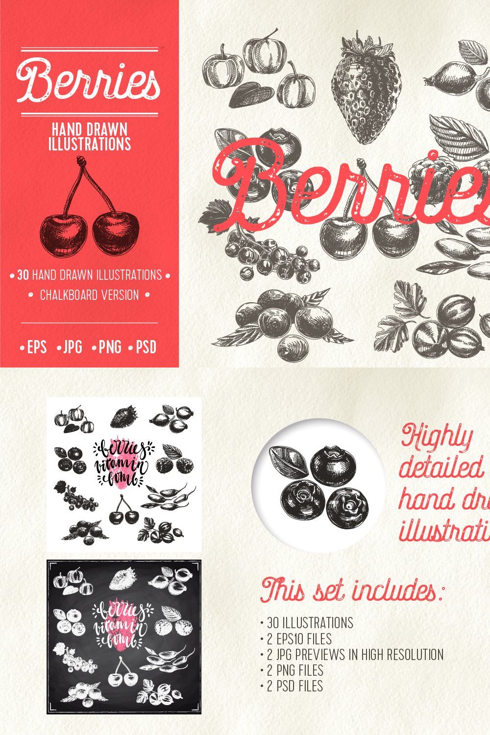 Hand drawn berries illustrations pinterest preview image.