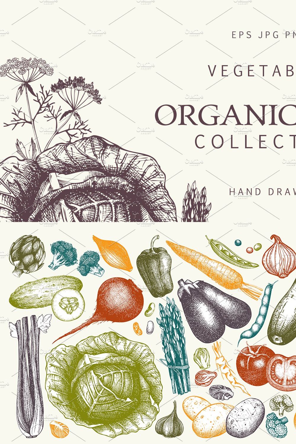 Hand Drawn Vegetables Collection pinterest preview image.