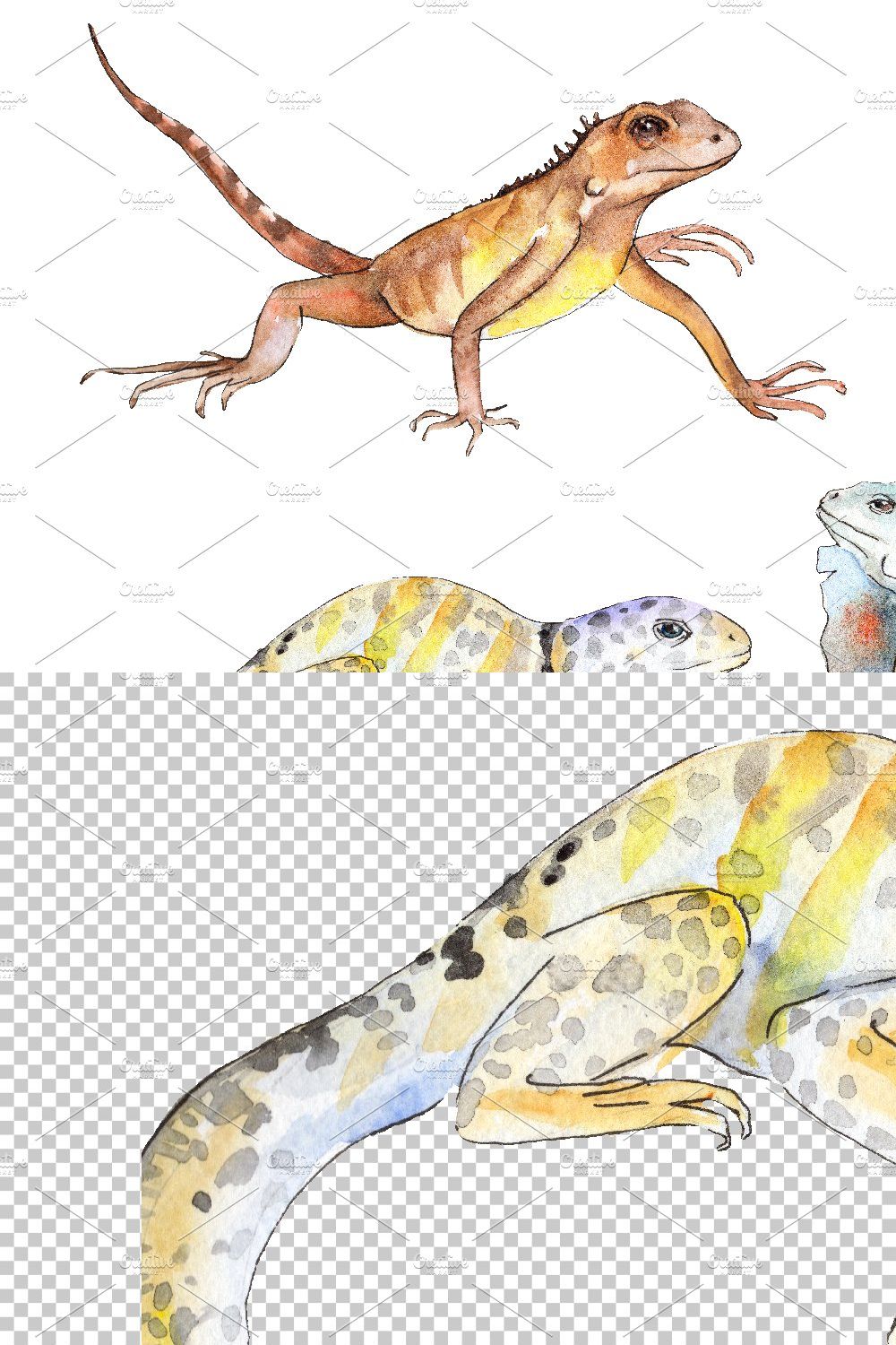 Iguana-1 Watercolor png pinterest preview image.