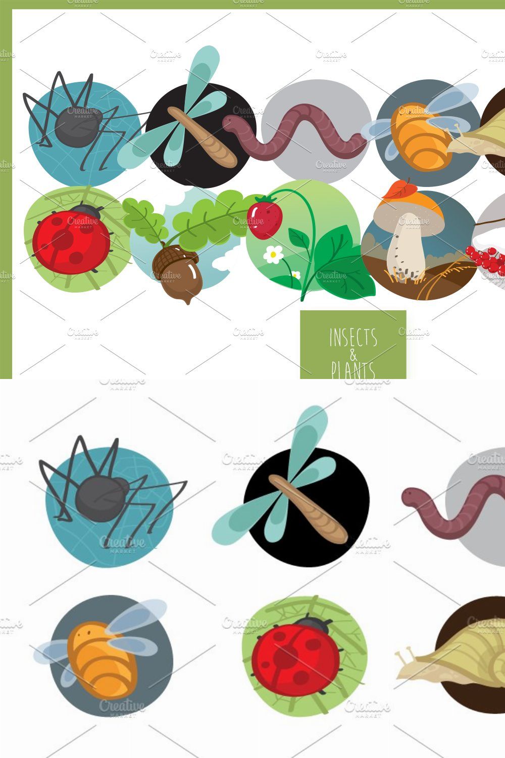 'Insects'n'plants' vectors pinterest preview image.