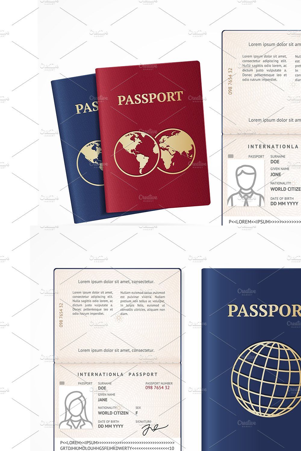 International Passport Blank Set. pinterest preview image.