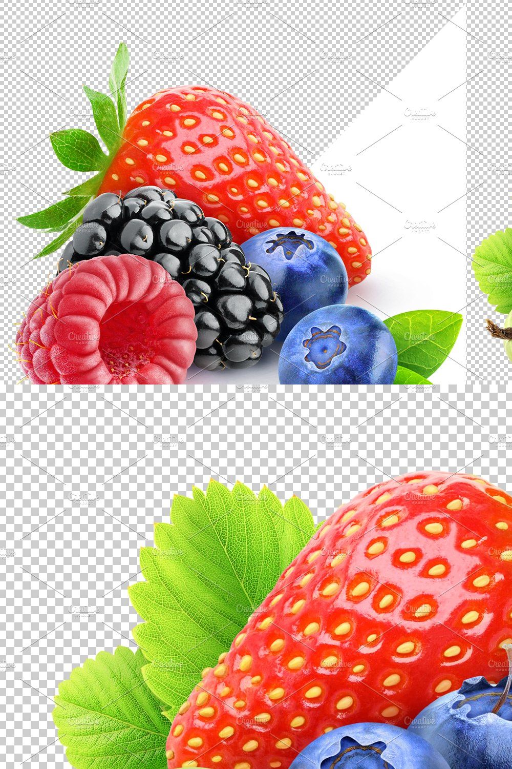 Isolated berries pinterest preview image.